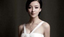 国产大乳,重塑民族乳业辉煌的崛起之路